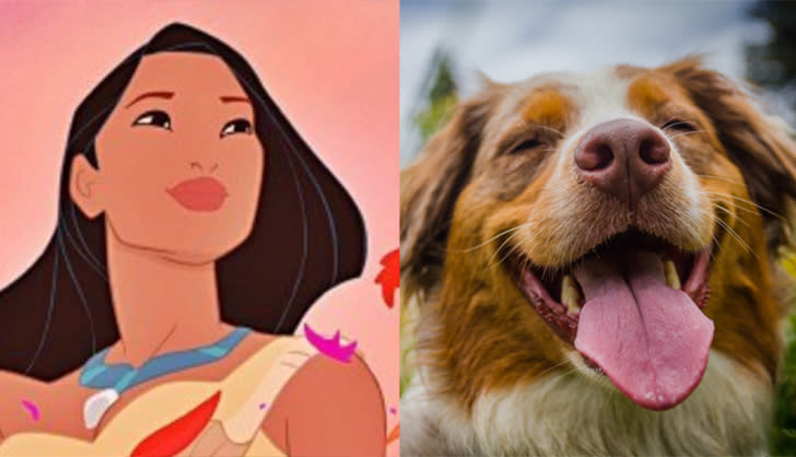 disney female dogs