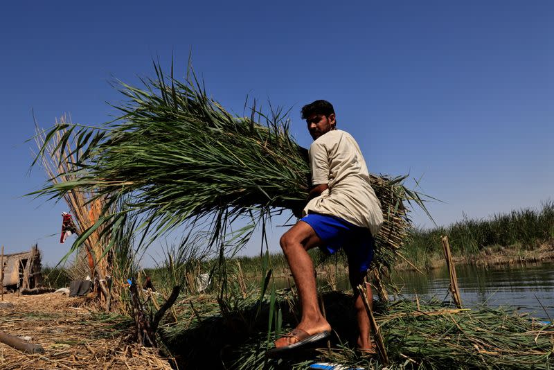 The Wider Image: "Our whole life depends on water" climate change, pollution and dams threaten Iraq's Marsh Arabs