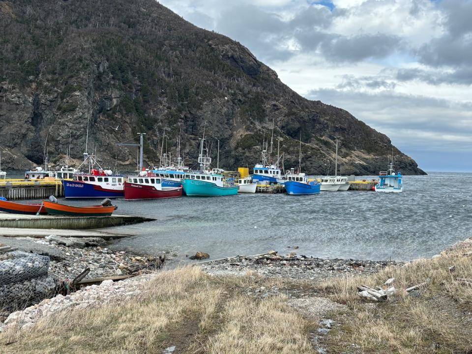 Residents of Lark Harbour have been rocked by the death of two fishermen after a vessel capsized on Sunday.