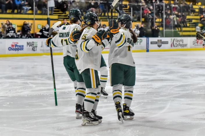 The UVM Catamounts celebrate Theresa Schafzahl&#39;s first period goal to jump out to a 1-0 lead during the Catamounts&#39; Hockey East quarterfinal game vs the Providence College Friars on Saturday afternoon at Gutterson Fieldhouse.