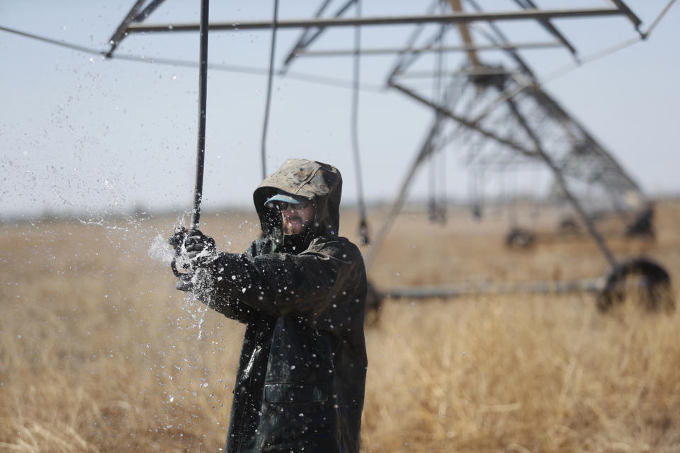 Tyler Black adjusts a spray head on a pivot at his Muleshoe, Texas, farm on Monday, April 19, 2021, as he prepares a pasture for grass-planting. Black and his father raise cattle and plant pasture in wheat and some native grass – and ration water use -- because the Ogallala Aquifer is being depleted. (AP Photo/Mark Rogers)