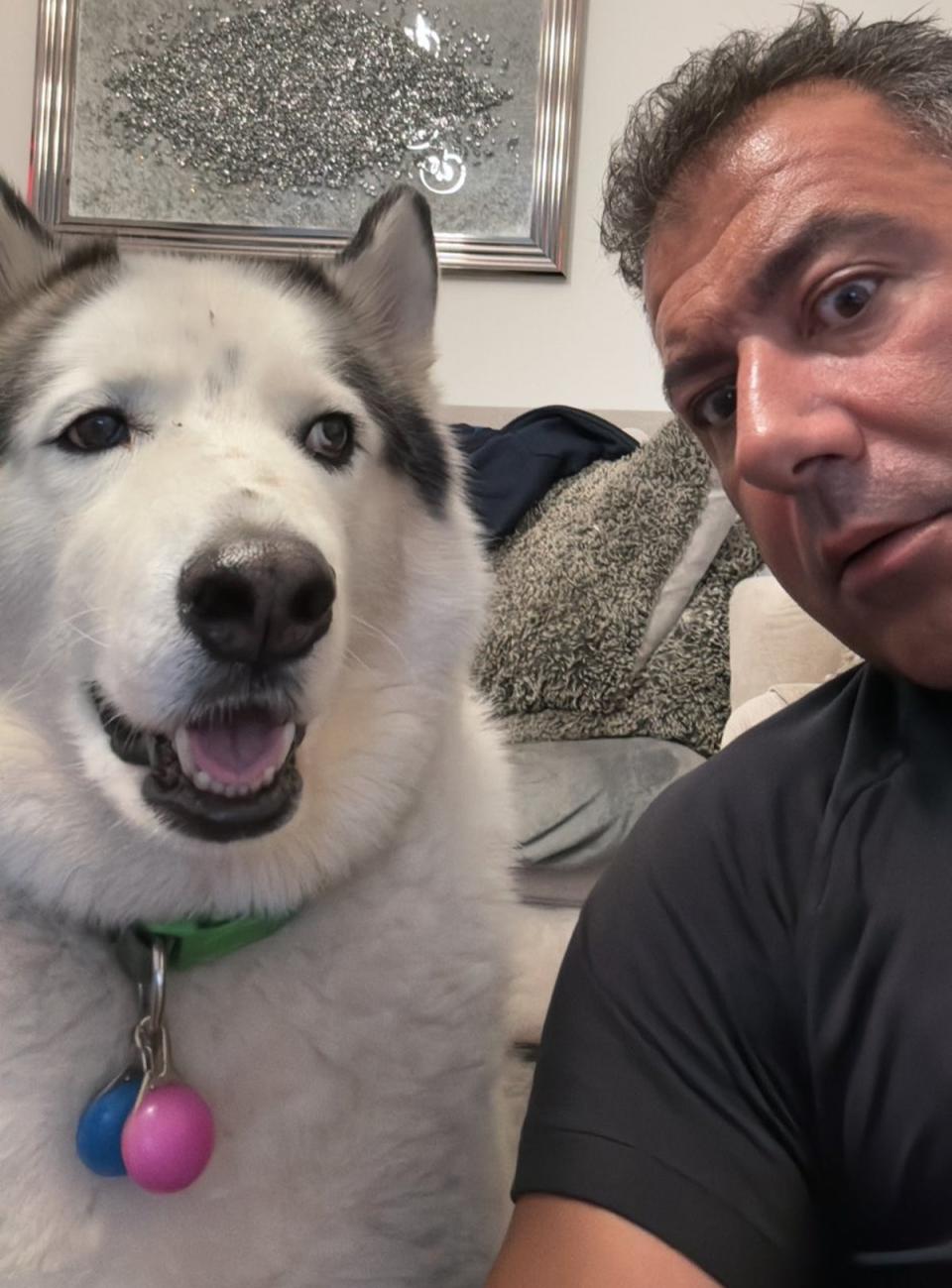 Alan the rescue husky and his owner Simon Warner (@simonjwarner)