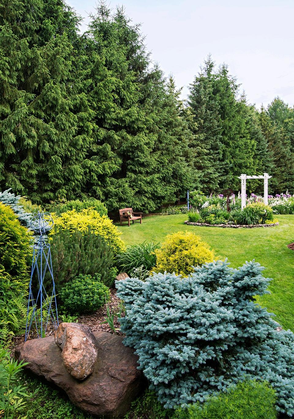 They're friendlier than a stockade fence, cheaper than a wall, and prettier than lattice. What are they? Evergreens. You'll find they offer plenty of privacy—and a whole lot more. Here are 10 great conifer candidates for evergreen landscaping.