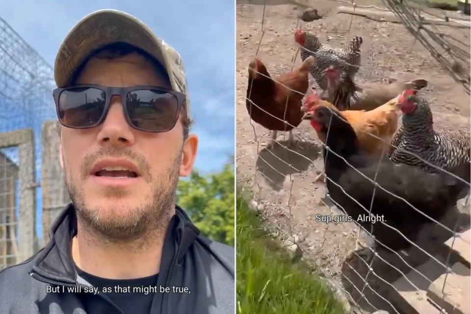 <p>Chris Pratt/Instagram</p> Chris Pratt and his chickens