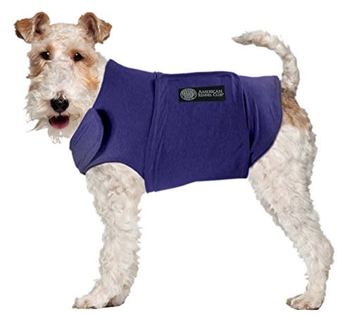 American Kennel Club Anti Anxiety and Stress Relief Calming Coat for Dogs, Essential for Thunderstorm season and 4th of July Fireworks- Blue, Medium (Amazon / Amazon)