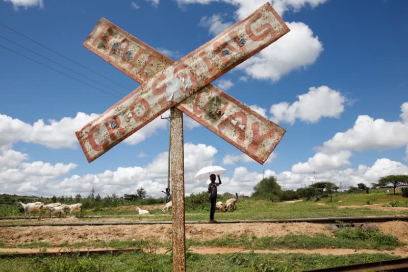 The Wider Image: Some Kenyans say Chinese-built railway leaves them in the dust