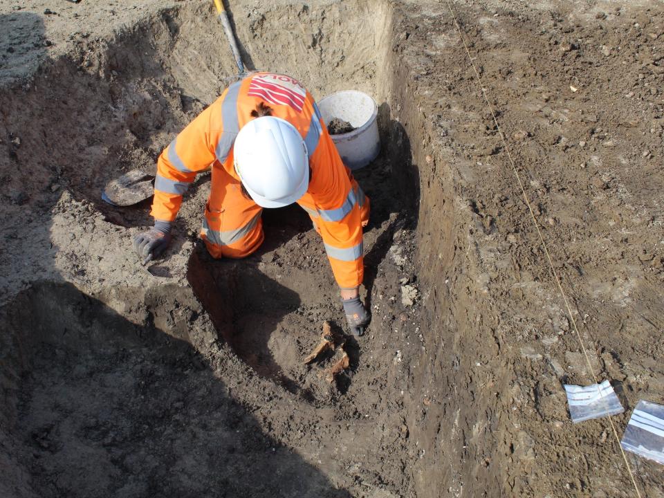 An archaeologist in an orange jumpsuit excavates an animal bone from a Mesolithic-period pit in Bedfordshire, England.