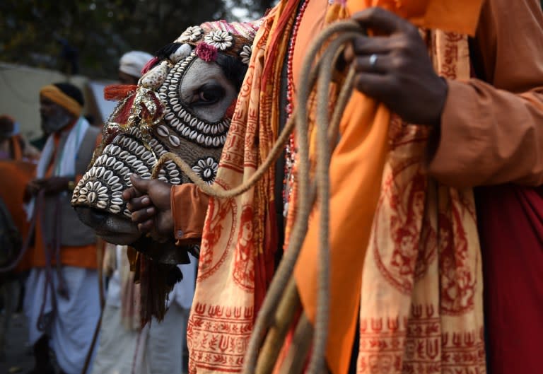 <p>An Indian “sadhu” (Hindu holy man) holds onto a cow during a protest against the killing of cows and in favour of honouring them during a protest in New Delhi on February 28, 2016. The organisation has demanded that the Indian government to declare cows as the “Mother of the Nation”, and to protect them as symbols of religious faith for millions of Hindus. </p>