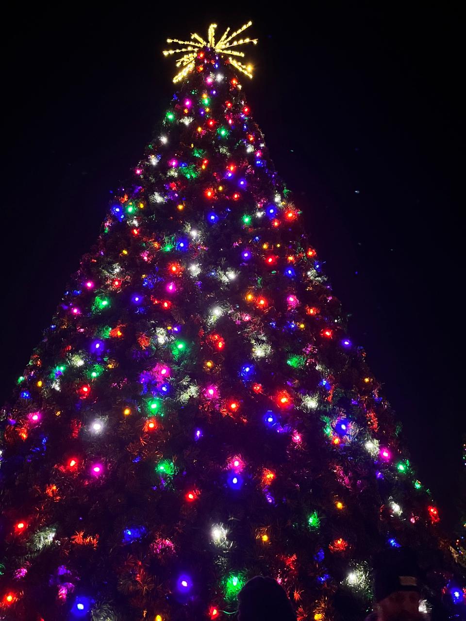 The city of Hendersonville held its annual Christmas Tree Lighting and arrival of Santa Claus on Nov. 24 on Main Street at the Historic Henderson County Courthouse.