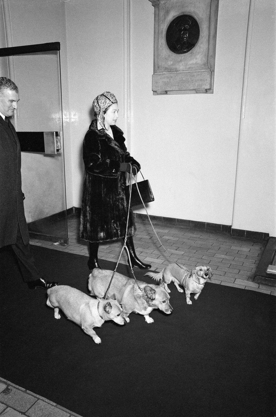 <p>Always a dog lover (especially Corgis), Queen Elizabeth walks her pups through Liverpool Street station. Her four-legged trio was traveling with her to Sandringham for the holidays.</p>