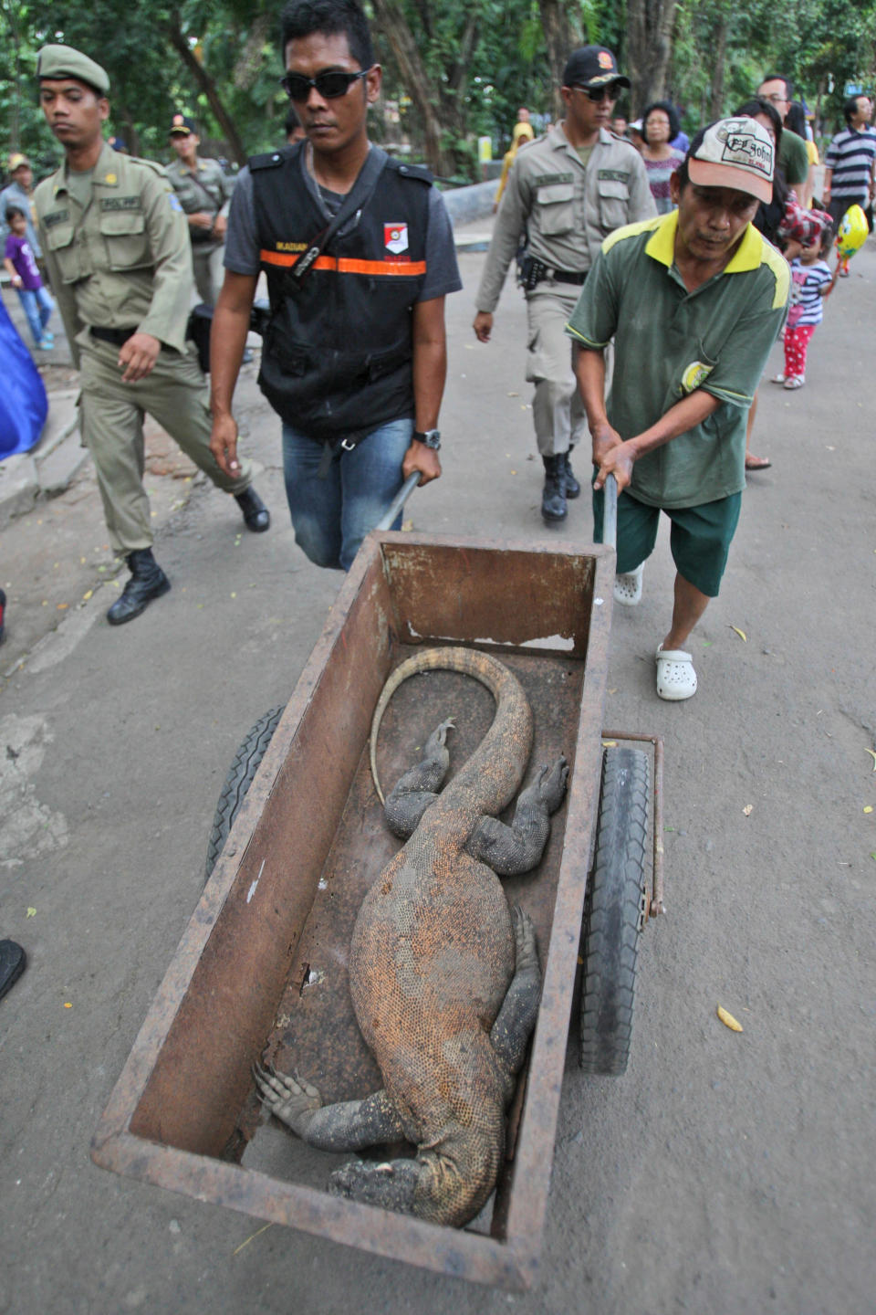 A police officer and a zoo employee take a Komodo dragon that was found dead in its cage for an autopsy, at Surabaya Zoo in Surabaya, East Java, Indonesia, Saturday, Feb. 1, 2014. Indonesia's largest and problem-plagued zoo has been criticized over the deaths of scores of animals, including African lions and a Sumatran tiger, over the last few years. The death of a giraffe two years ago with a beach ball-sized wad of plastic food wrappers in its belly sparked outrage among conservationists. (AP Photo/Trisnadi)