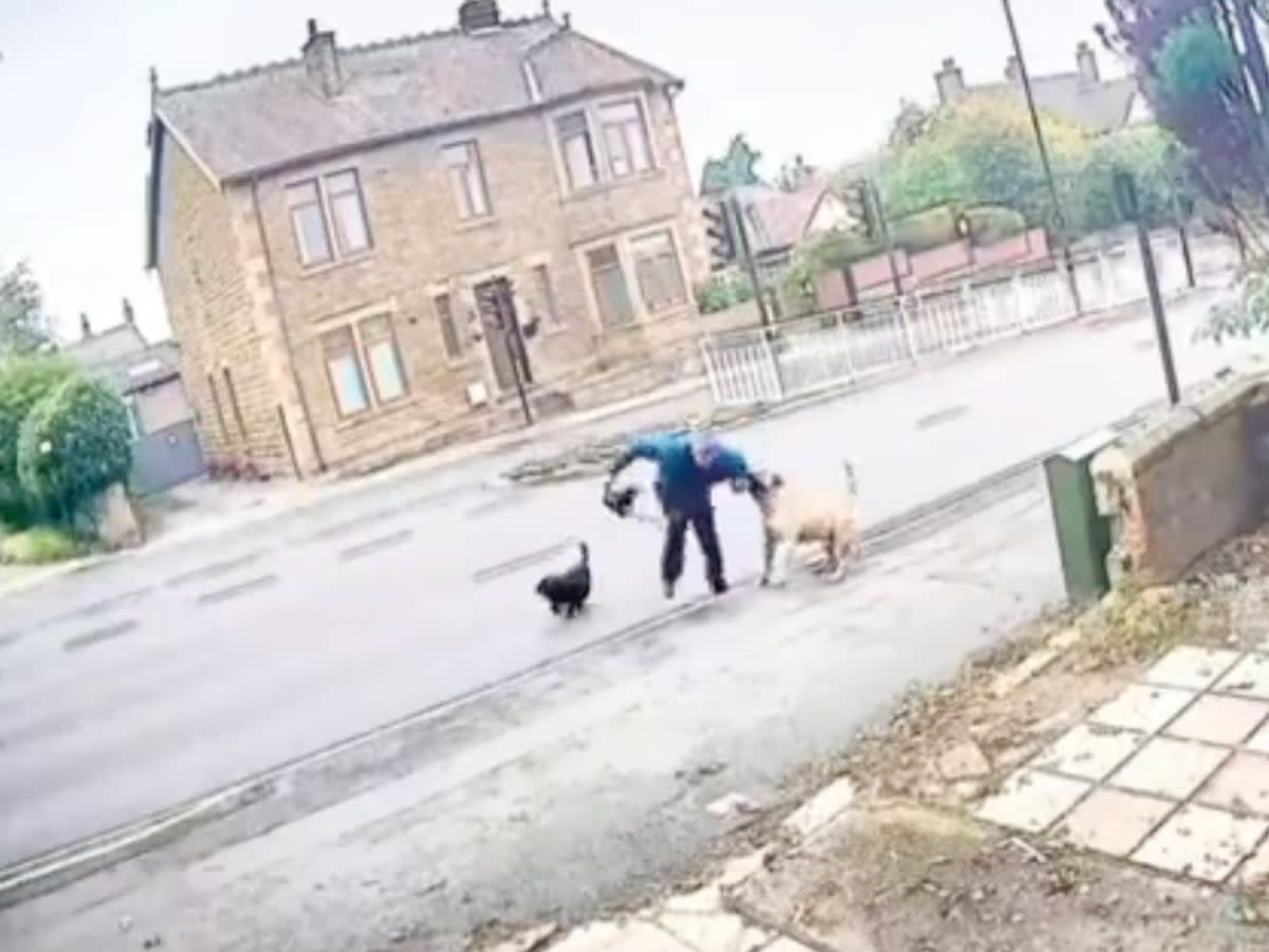 The man is pulled into the busy dual carriageway during the scary encounter (@onlinesheffield/Twitter)