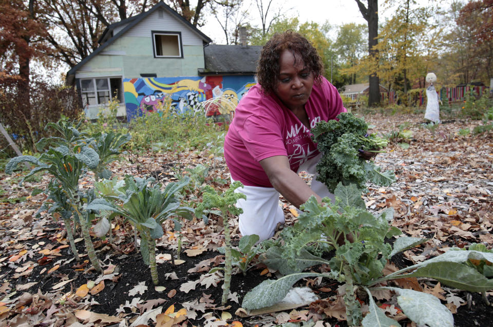 Gwen Shivers harvests edible greens from her community garden on a vacant lot next to an abandoned home boarded-up with colorful murals made by community members to help combat blight in the Brightmoor neighborhood of Detroit, Michigan on October 19, 2012. The city is also home to 1,400 gardens tended by 15,000 to 20,000 mostly volunteer gardeners, said Rebecca Salminen Witt, president of the Greening of Detroit. The produce - 200 tons are harvested each year - is distributed to the community and sold at neighborhood farmers' markets in Detroit, and the income is plowed back into the collaborative. REUTERS/Rebecca Cook