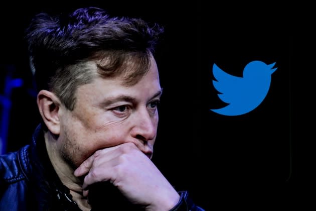 Elon Musk and Twitter - Credit: Anadolu Agency