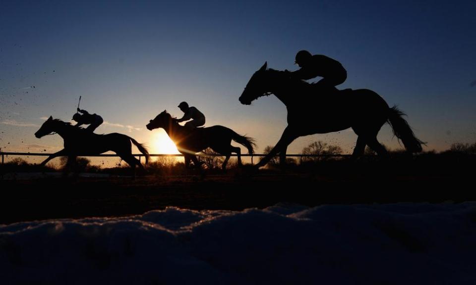 Southwell racecourse, where Our Little Sister ran in early January, two weeks before testing positive at Wolverhampton.