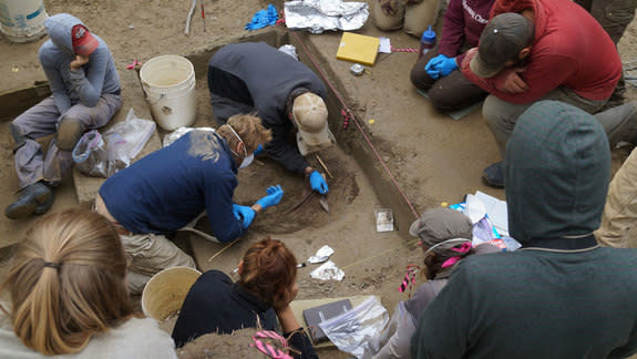 The excavation of a double infant burial dated to the last ice age, at the Upward Sun River site in Alaska.