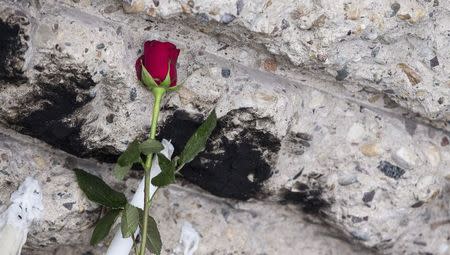 A rose is seen placed as a memento of condolence at the French embassy at Pariser Platz in Berlin January 8, 2015. REUTERS/Hannibal Hanschke