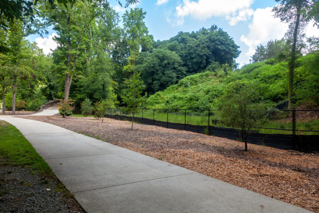 Part of the Bolin Creek Greenway in Chapel Hill