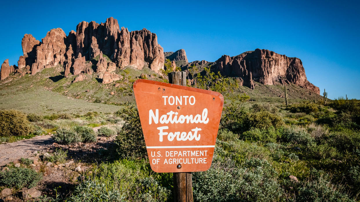 Tonto National Forest with The Lost Dutchman near Mesa Arizona