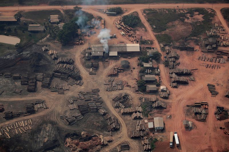 Pictures of the Year: Fires in the Amazon: a barrier to climate change up in smoke