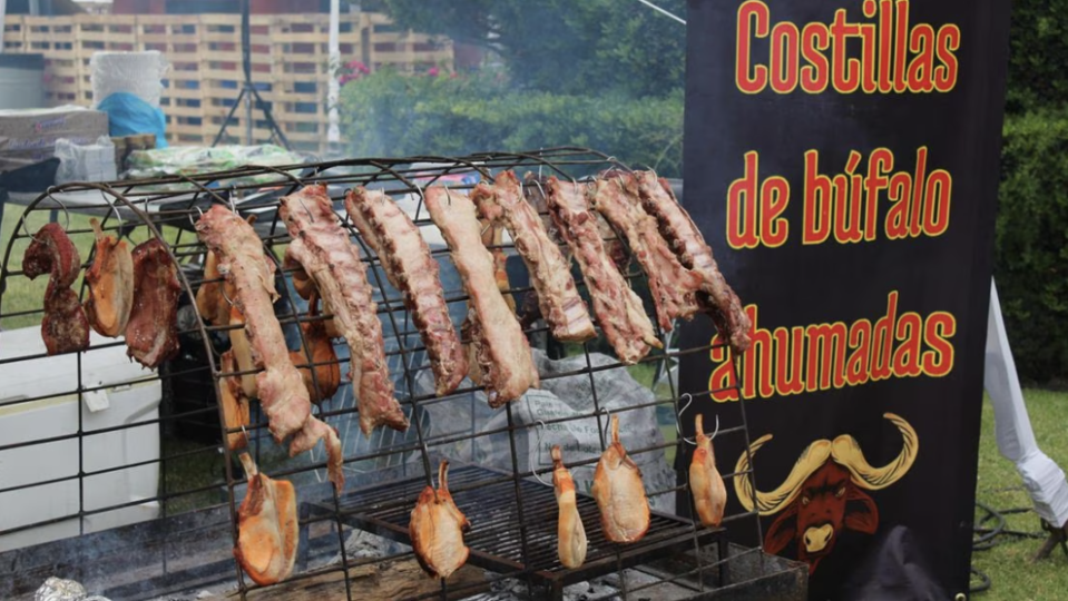 Cientos de amantes de la carnita asada se reunieron en el Festival de Brasas 2023
 Foto: Nayeli Castillo Trejo