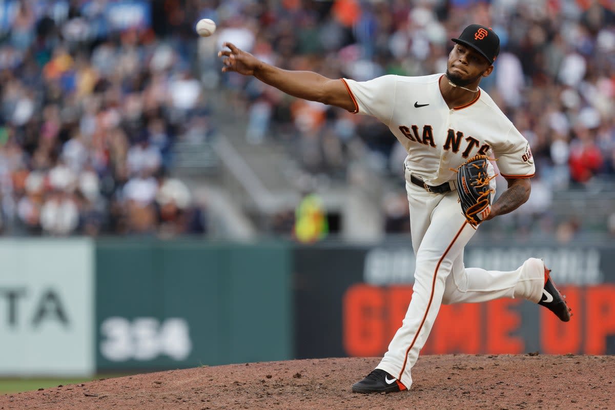 CACHORROS-GIGANTES (AP)