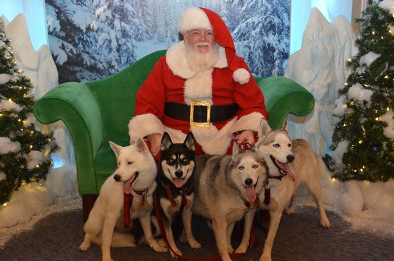 Paws ‘n Claus, held at The Mall at Wellington Green on Saturday, Dec. 2, will let guests bring their furry friends in to pose with Santa.