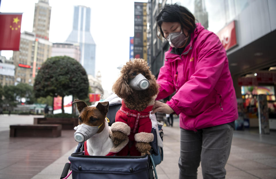 A woman pushes a stroller with two dogs wearing masks along a street in Shanghai on February 19, 2020. - The death toll from China's new coronavirus epidemic jumped past 2,000 on February 19 after 136 more people died, with the number of new cases falling for a second straight day, according to the National Health Commission. (Photo by NOEL CELIS / AFP) (Photo by NOEL CELIS/AFP via Getty Images)