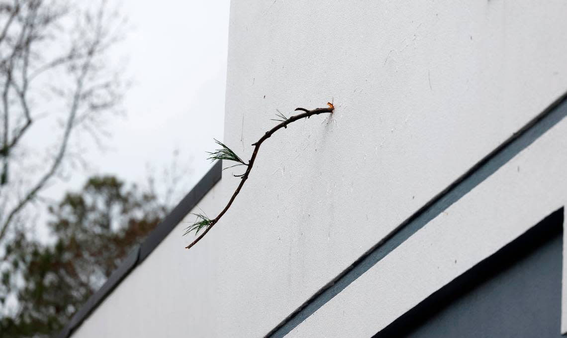 A powerful storm drove a tree branch into the wall of the soon to be open Sully’s Golf and Gather building at the intersection of Timber Drive and Woodland Road in Garner, N.C., Sunday, Dec. 10, 2023. A powerful storm roared through the area, knocking down trees and cutting off power.