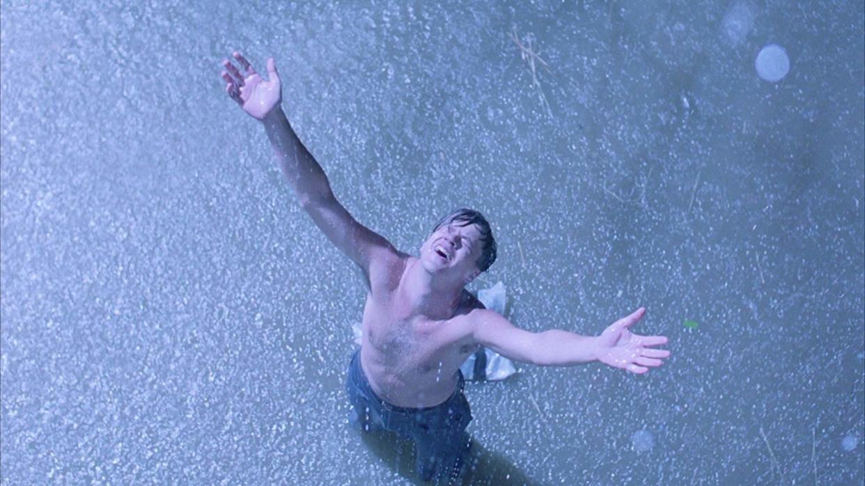 Tim Robbins as Andy Dufresne in The Shawshank Redemption