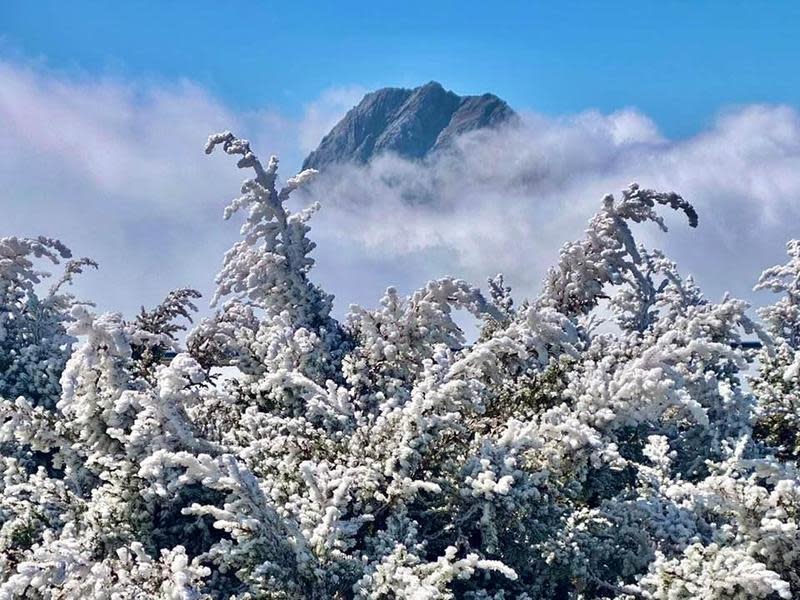 氣象局長鄭明典在臉書曬出玉山北峰的迷人霧淞美景。（翻攝自鄭明典臉書）