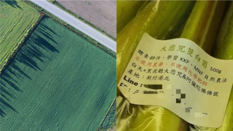 ▲有吃有保庇？超市這款「大悲咒茭白筍」讓客人笑翻了。（合成圖／左圖取自《Pixabay》；右圖翻攝自PTT）