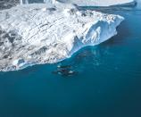 <p>3 Humpback whales swim among icebergs broken off from the Jakobshavn glacier in Disko Bay, Greenland. // Date unknown</p>