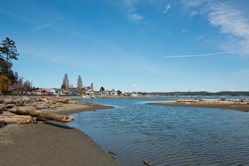 dog-friendly Double Bluff Beach in Freeland, Washington