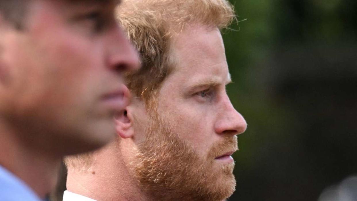 Britain's Prince William, Prince of Wales and Britain's Prince Harry, Duke of Sussex follow the coffin of Queen Elizabeth II, adorned with a Royal Standard and the Imperial State Crown and pulled by a Gun Carriage of The King's Troop Royal Horse Artillery, during a procession from Buckingham Palace to the Palace of Westminster, in London on September 14, 2022. - Queen Elizabeth II will lie in state in Westminster Hall inside the Palace of Westminster, from Wednesday until a few hours before her funeral on Monday, with huge queues expected to file past her coffin to pay their respects. (Photo by LOIC VENANCE / AFP)