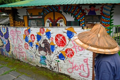 There are now some half a dozen so-called "graffiti villages" in Taiwan that have been festooned with artwork in a bid to inject some life into rural places that have been emptied of its young