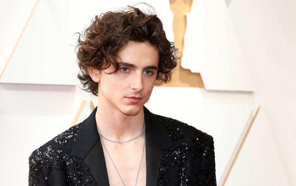 Timothee Chalamet baring his chest on the red carpet at the Oscars - Future Publishing