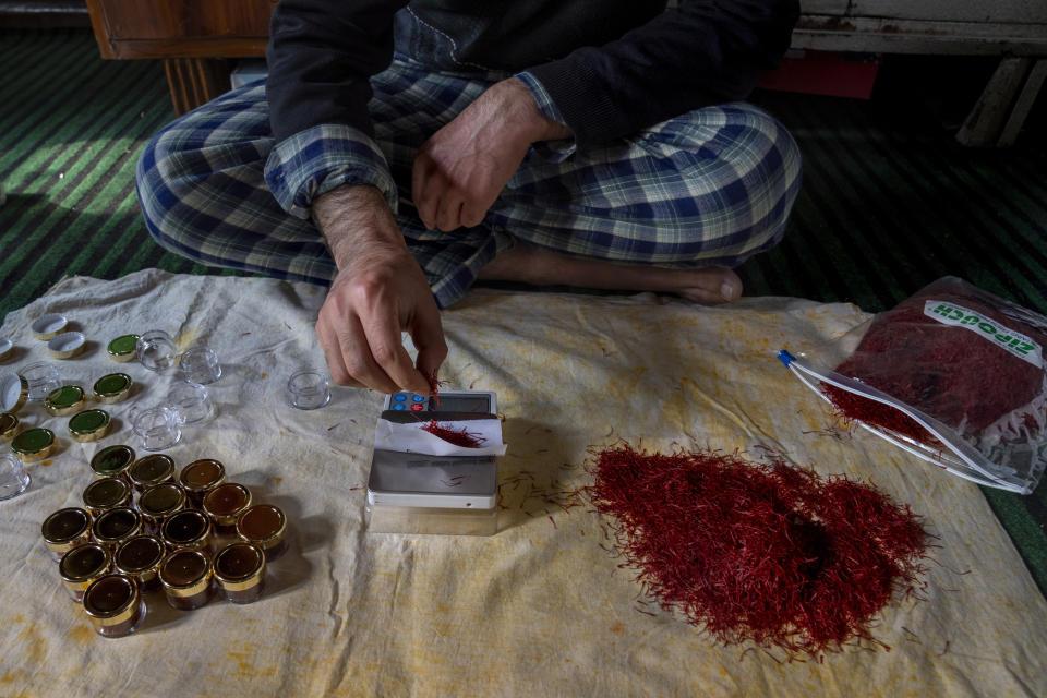 A Kashmiri farmer weighs the saffron before packing inside plastic boxes for sale inside his home in Shaar-i-Shalli village, south of Srinagar, Indian controlled Kashmir, on Oct. 30, 2022. As climate change impacts the production of prized saffron in Indian-controlled Kashmir, scientists are shifting to a largely new technique for growing one of the world’s most expensive spices in the Himalayan region: indoor cultivation. Results in laboratory settings have been promising, experts say, and the method has been shared with over a dozen traditional growers. (AP Photo/Dar Yasin)