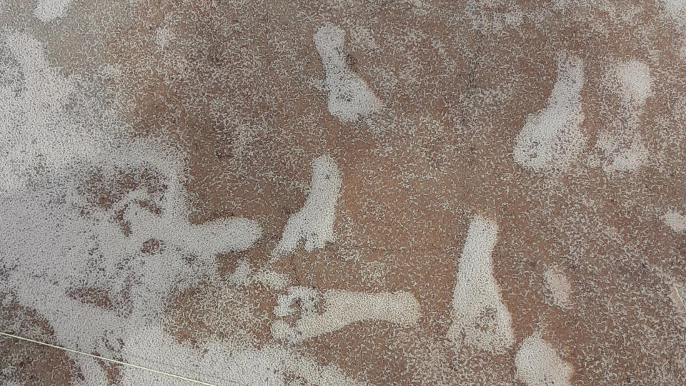 Human footprints infilled with white gypsum sand on darker sand background.