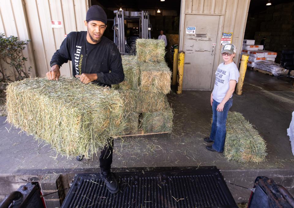 Jeremiah McQueen, left, with Berrettini Feed Specialists, loads a bale of hay for customer Sierra Osborne, right, on Feb.  28.