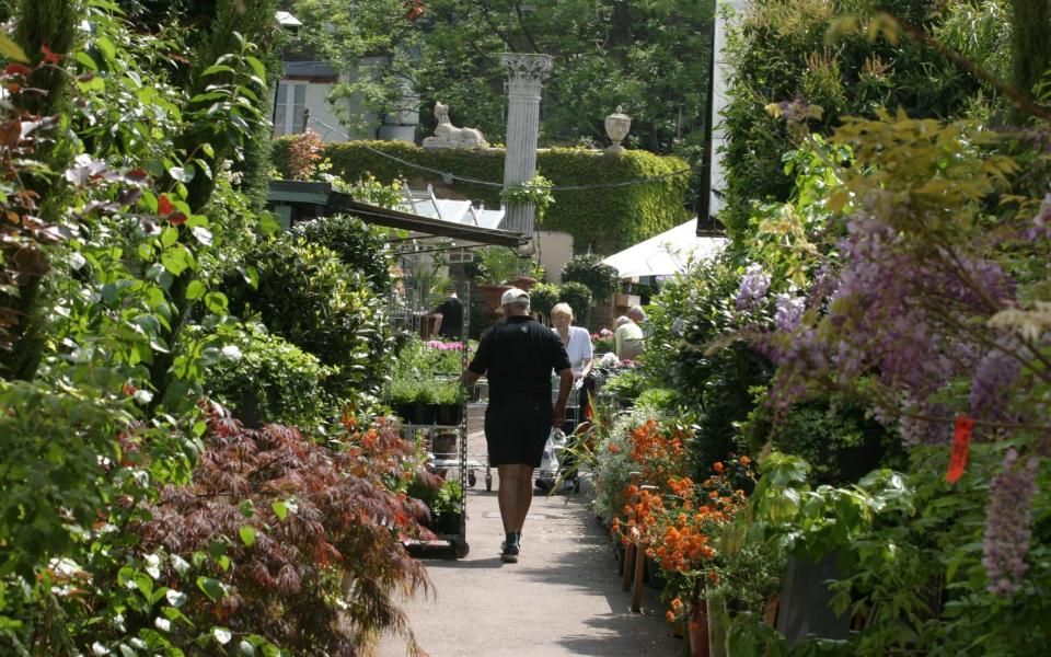 Clifton Nurseries best garden centres london - Roger Taylor 