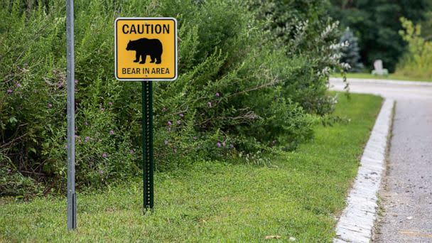 PHOTO: In this Aug. 6, 2020, file photo, signage warns of 'Bear in Area' in Hardyston Township, N.J. Black bears live in these woods near a residential neighborhood.  (Monica Herndon/TNS via Newscom, FILE)