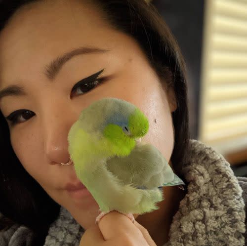 Lauren Cho holds her parrotlet Porkchop, whom her friends said she didn't like to leave. Authorities identified the 30-year-old's remains in California's Yucca Valley after she went missing on June 28. (Photo: <a href=