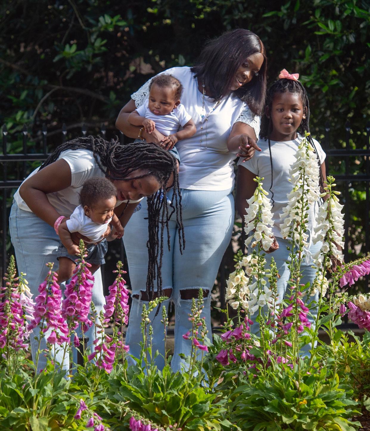 Arnisha Jones of Jackson has juggled cancer and graduate school along with four children, Ne’Vael Jefferson, 11, left, holding four-month-old twin Amari Spires, twin Khamari Spires, held by Jones, and Nyla Jefferson, 7. Jones has her hands full Monday, April 29, 2024.