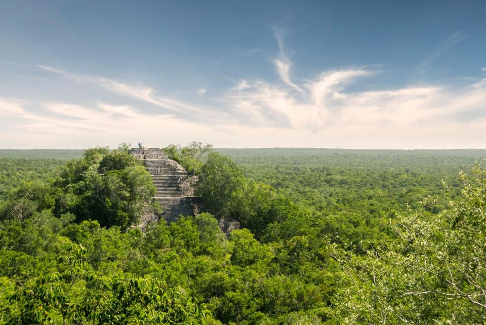 Untamed nature has grown up around many Mayan ruins (Gettys/iStock)