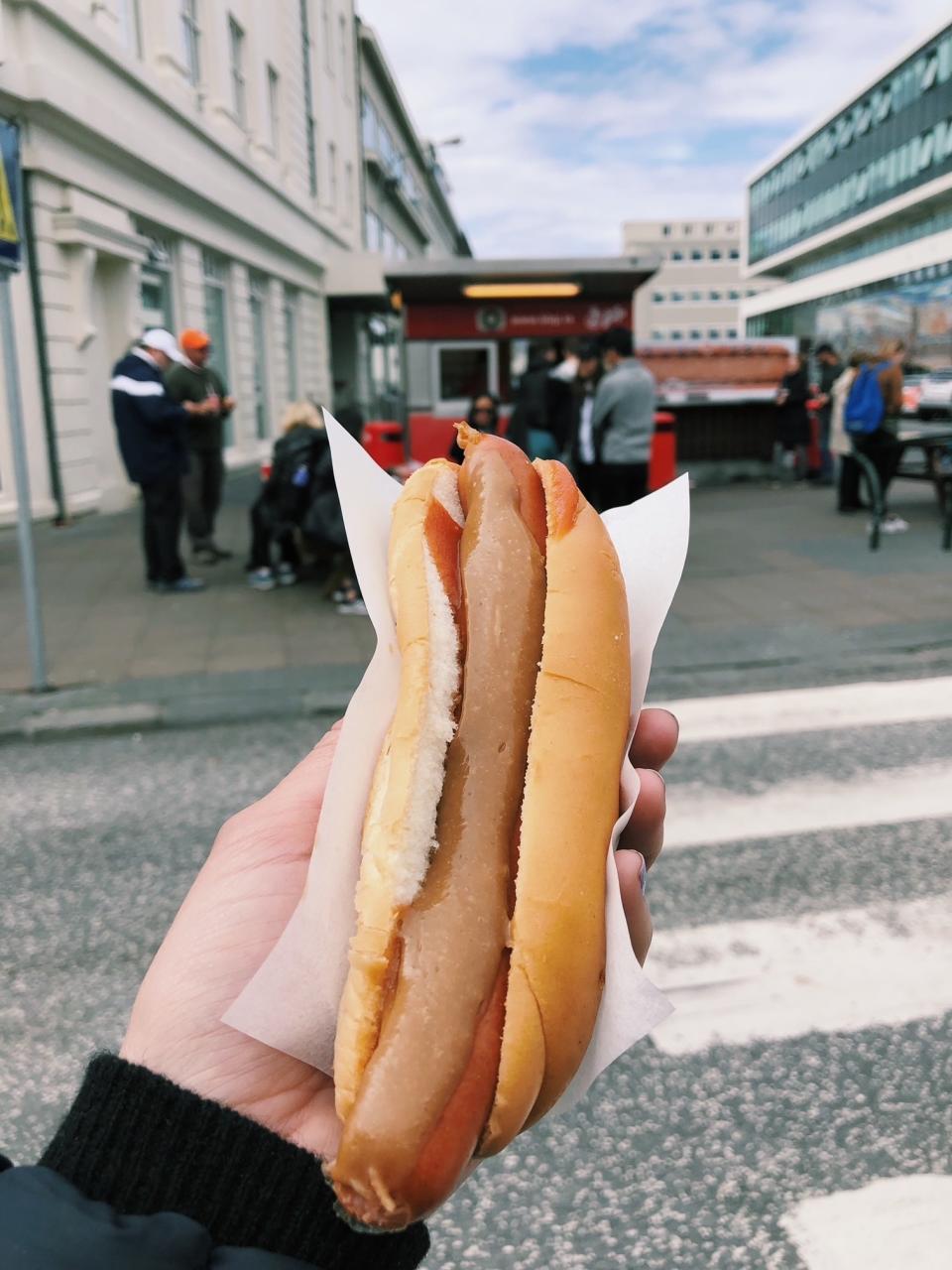 A hot dog from a street cart in Reykjavik