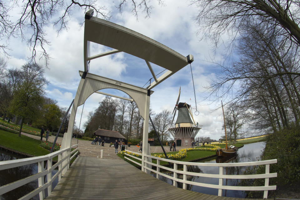 Far fewer visitors than normal are seen at the world-famous Keukenhof garden in Lisse, Netherlands, Friday, April 9, 2021. Finally, after month after bleak month of lockdown, there are springtime shoots of hope emerging for a relaxation of coronavirus restrictions at a Dutch flower garden and other public venues. Keukenhof nestled in the pancake flat bulb fields between Amsterdam and The Hague opened its gates Friday to a lucky 5,000 people who were allowed in only if they could show proof on a smartphone app that they had just tested negative for COVID-19. (AP Photo/Peter Dejong)