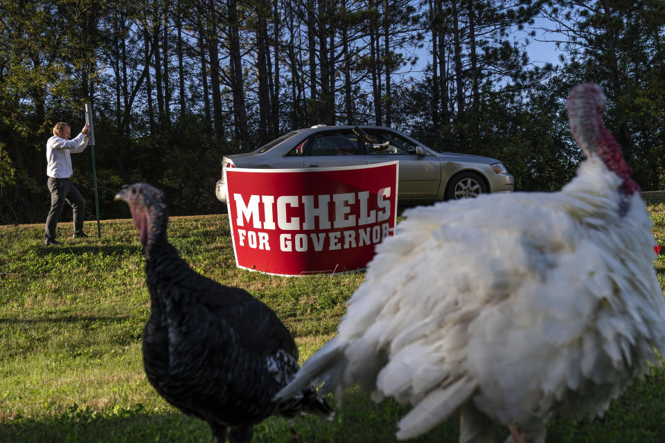 Wild turkeys roam past St. Croix County Republican Party Chairman Matt Bocklund, as he places campaign signs on lawns in Hudson, Wis., Thursday, Sept. 29, 2022. Despite midterm elections that failed see the sweeping Republican victories that many had predicted, they remain a cornerstone of the conservative electoral base. Across the country, victories went to candidates who believe in QAnon and candidates who believe the separation of church and state is a fallacy. In Wisconsin, a U.S. senator who dabbles in conspiracy theories and pseudoscience was re-elected - crushing his opponent in St. Croix County. (AP Photo/David Goldman)