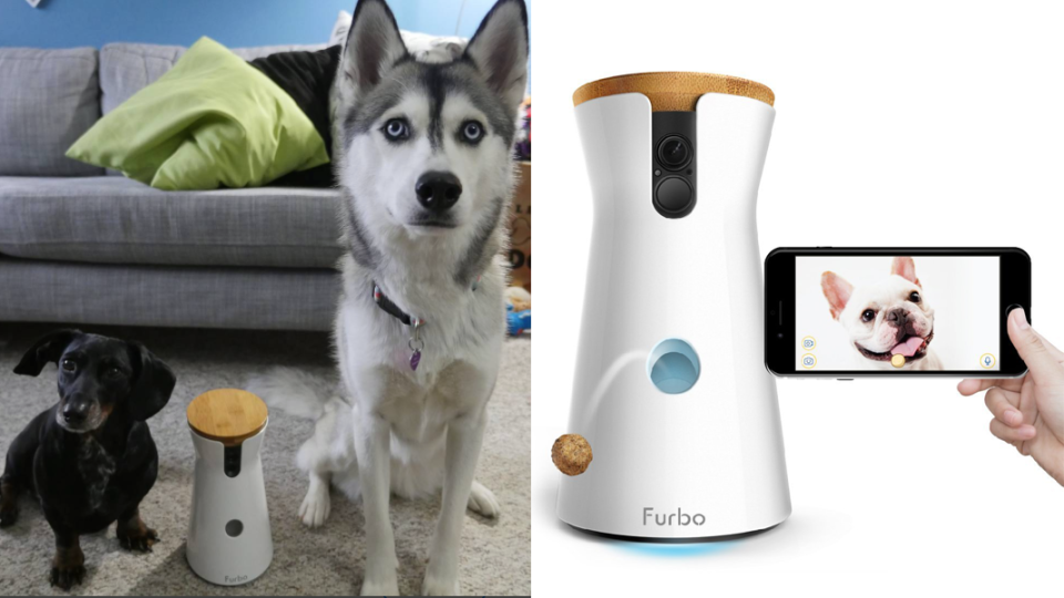 Best gifts for couples: Furbo Dog Camera