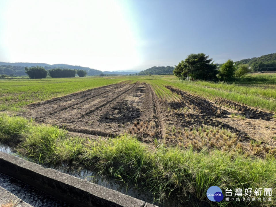 現場明顯焚燒後痕跡